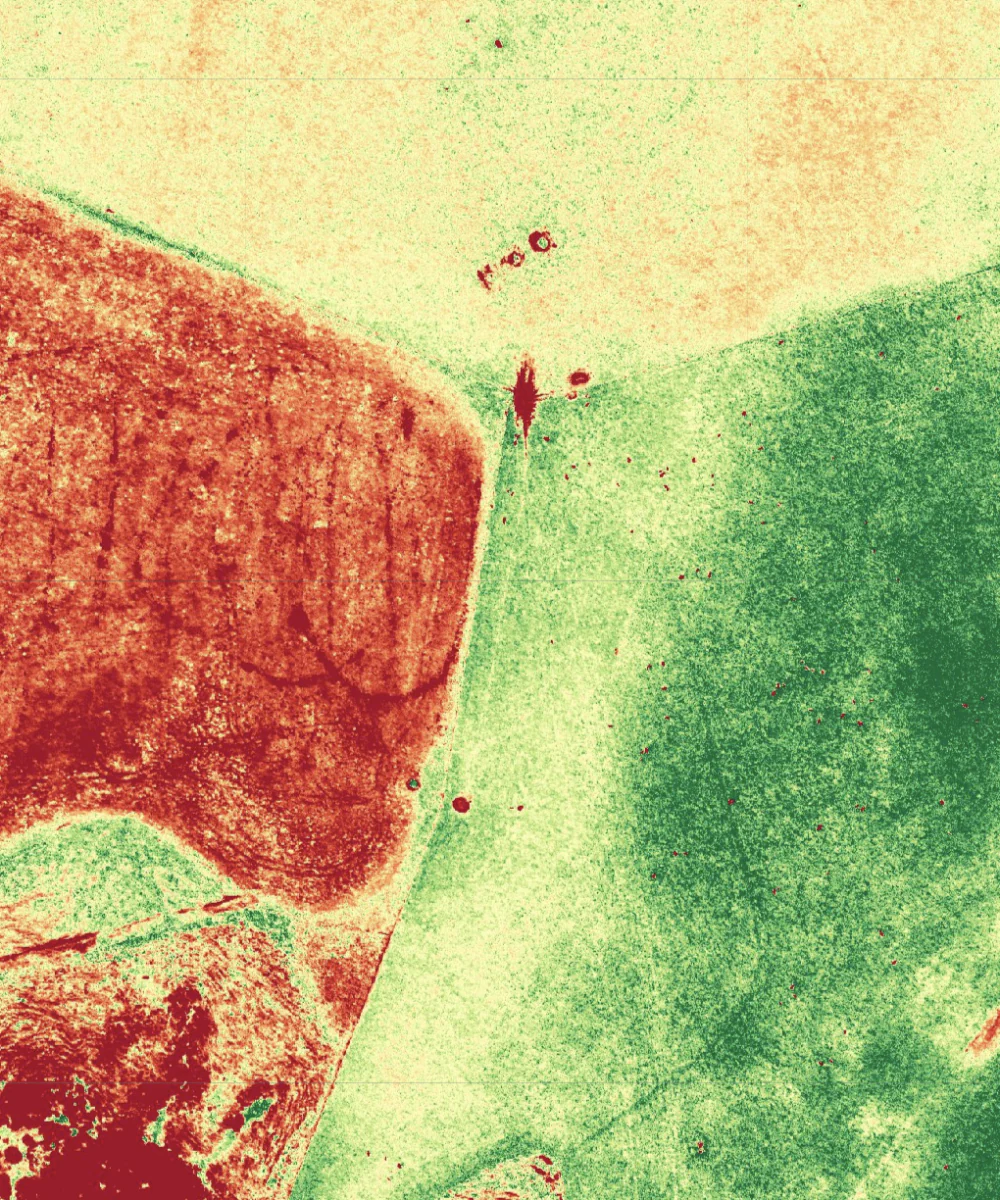 False-colour aerial pasture analysis showing contrasting paddock conditions